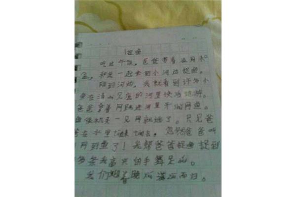 日出日记100字