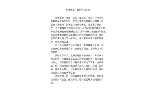 什么的那一刻作文