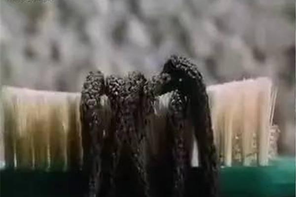 唇枪舌剑的意思