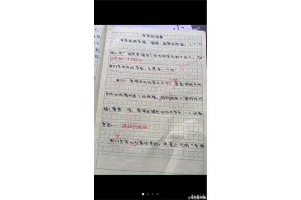 热爱劳动作文