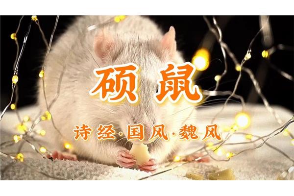 硕鼠硕鼠无食我黍