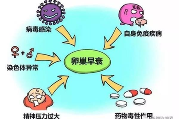激素替代疗法