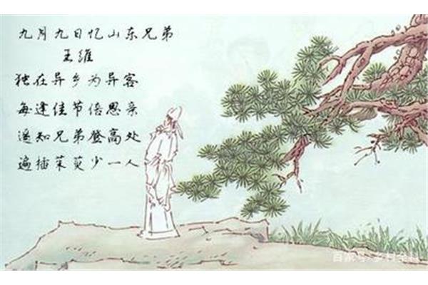 关于王维的诗