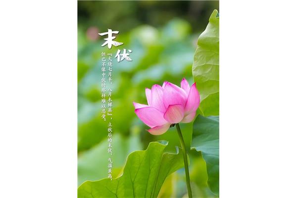 关于夏的诗句