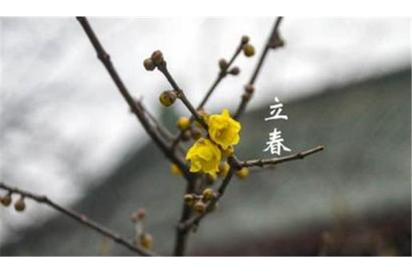 立春是几月几号