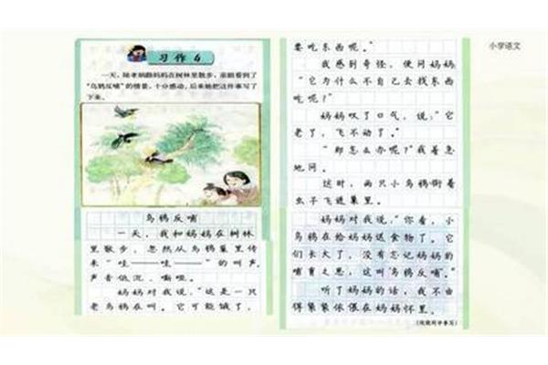 三年级习作