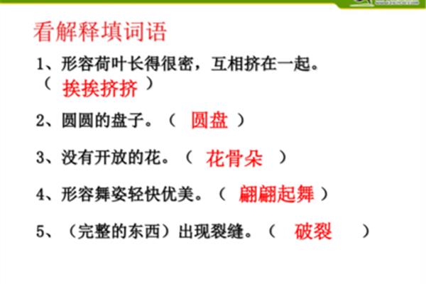 形容荷叶的词语