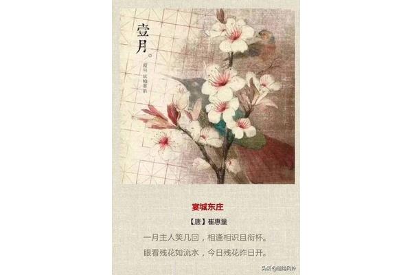 关于夏的诗句