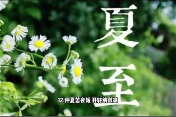 关于夏的诗句