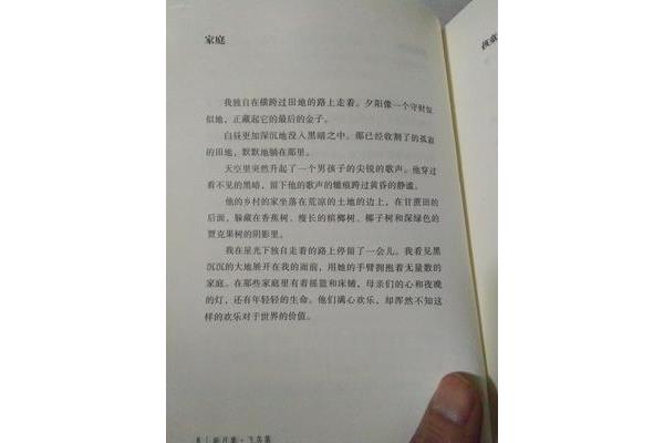 飞鸟集全文