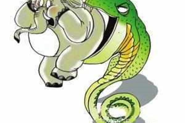 人心不足蛇吞象