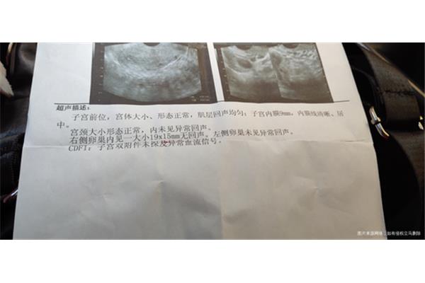 卵泡多大成熟