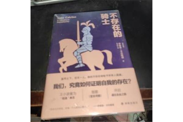 不存在的骑士