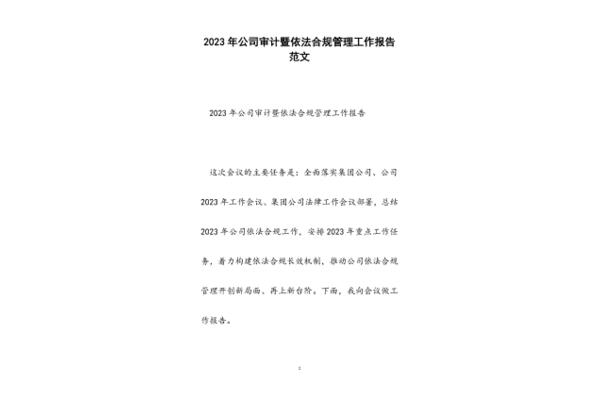 审计工作报告