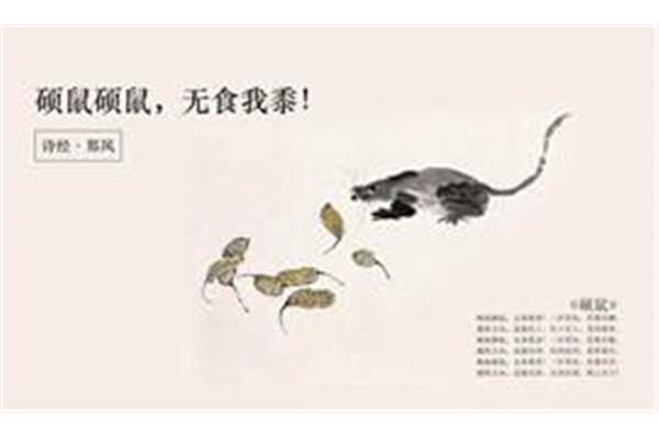 硕鼠硕鼠无食我黍