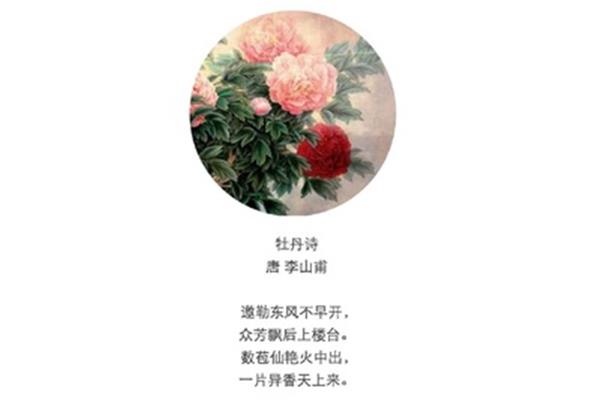 关于牡丹花的诗句