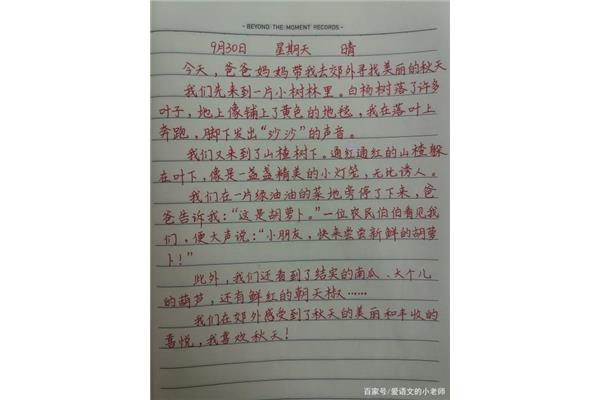 三百字的日记