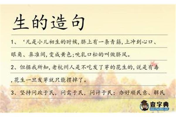 凡是都造句