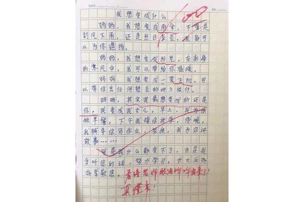 什么的那一刻作文