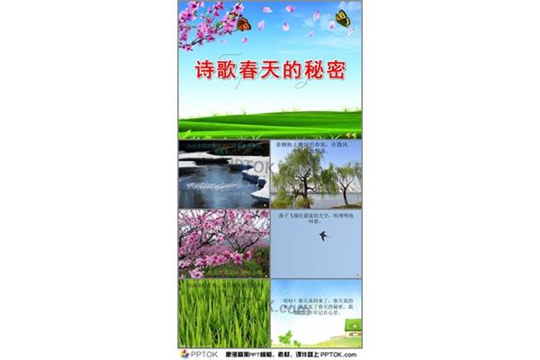 春天的秘密诗歌