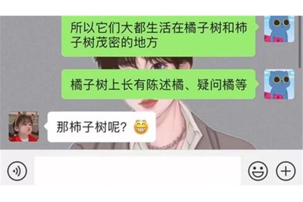 给女友讲睡前故事