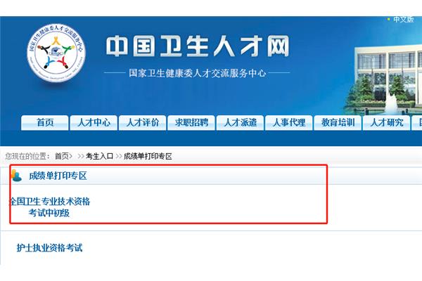 国家卫生人才