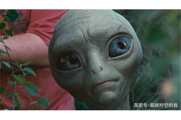 就在你身边