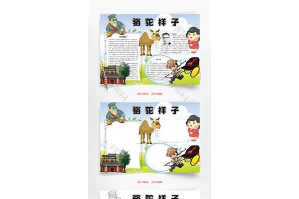 骆驼祥子的小报
