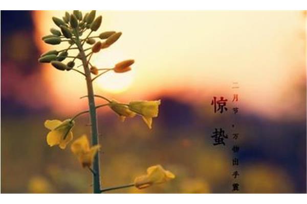立春是几月几号