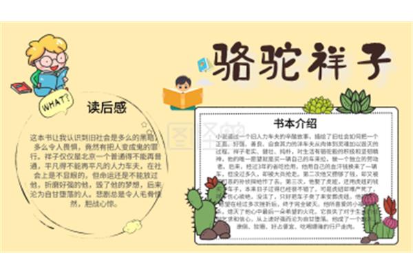 骆驼祥子的小报
