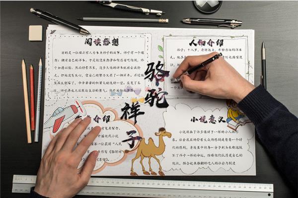 骆驼祥子的小报