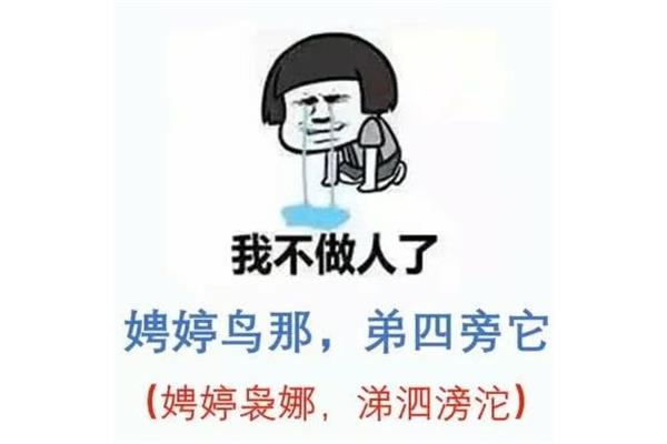 一模一样读音