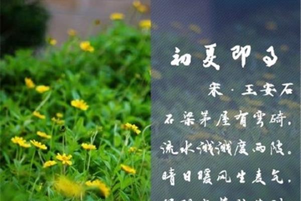 关于夏的诗句