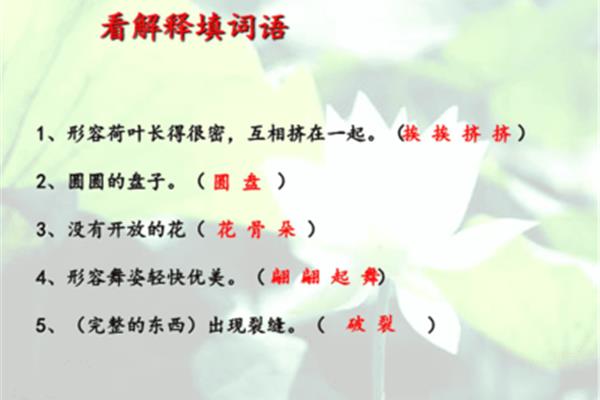 形容荷叶的词语
