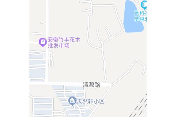 年轻的姑妈