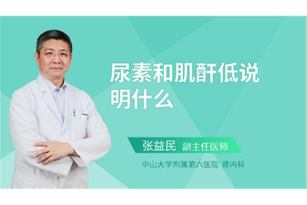 肌酐低什么原因