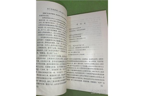现代诗赏析