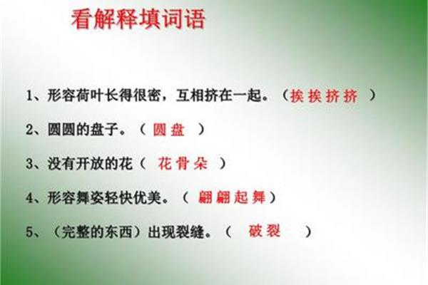 形容荷叶的词语