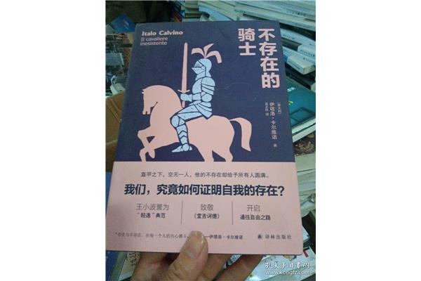 不存在的骑士