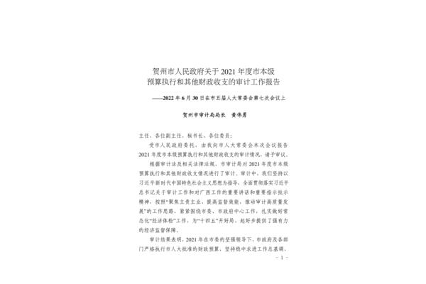 审计工作报告