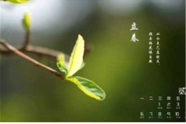 立春是几月几号