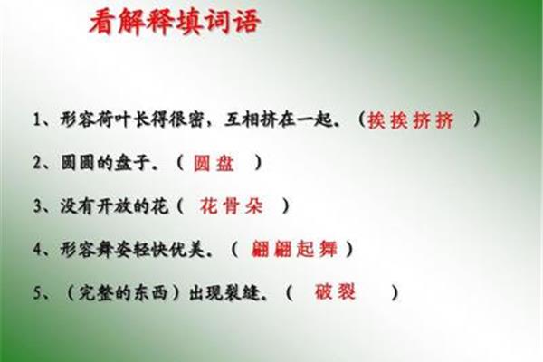 形容荷叶的词语