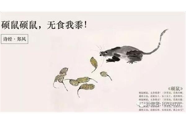 硕鼠硕鼠无食我黍
