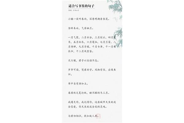 心情的唯美句子
