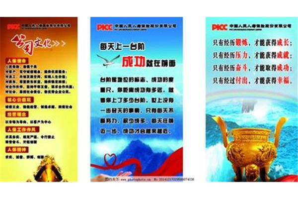 保险公司口号