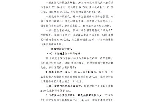 审计工作报告