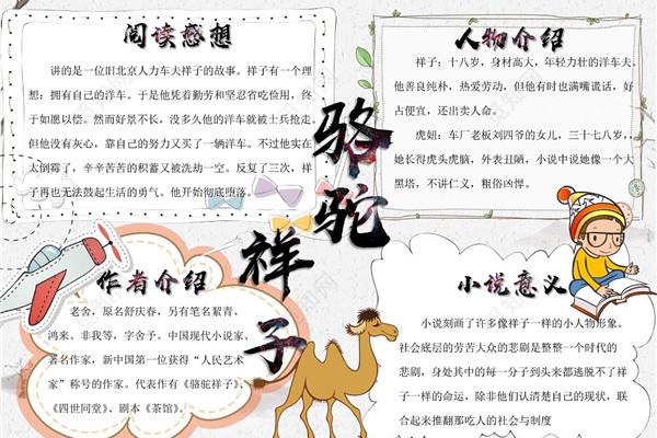 骆驼祥子的小报