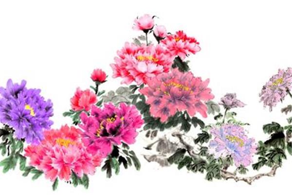 关于牡丹花的诗句