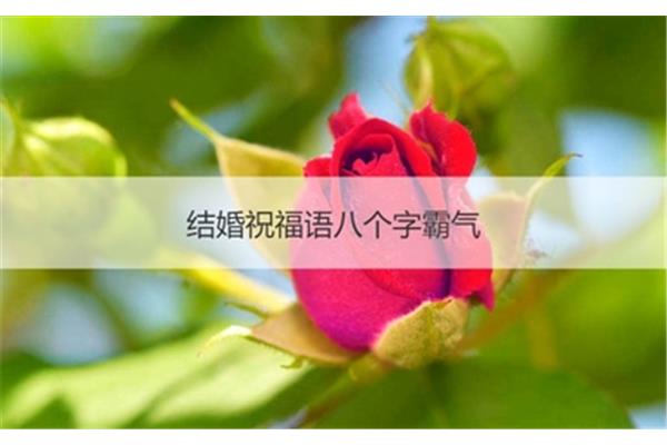 一到十的祝福