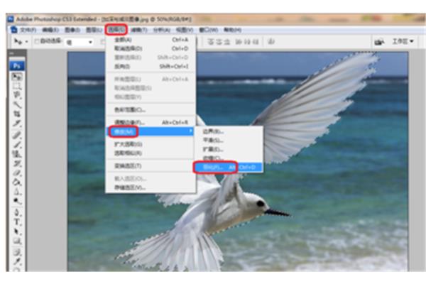 ps是什么